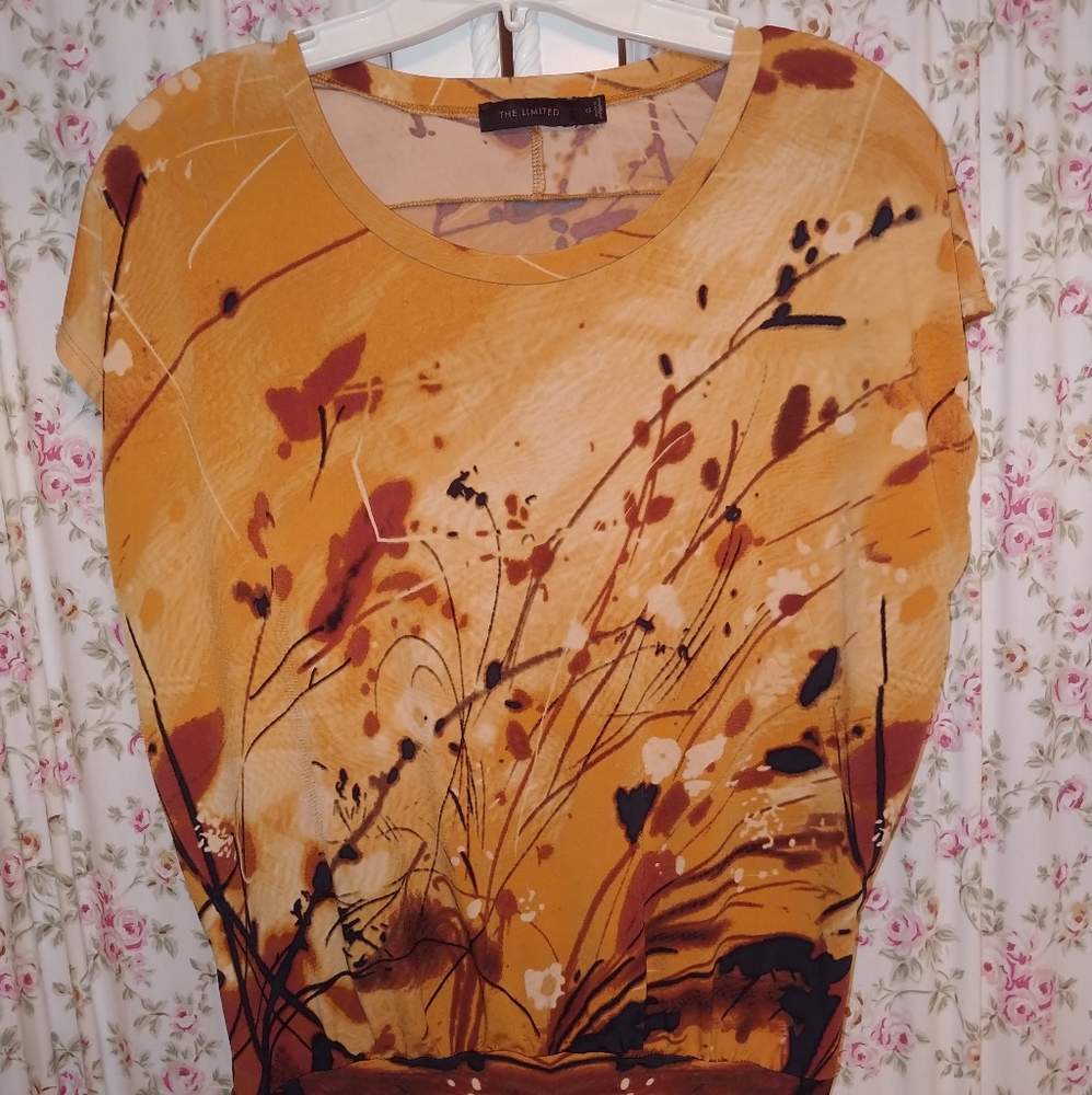 The Limited shirt